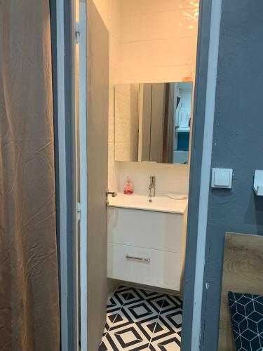 une salle de bain avec un lavabo et un miroir dans l'établissement Studio en centre-ville, à Clermont-Ferrand