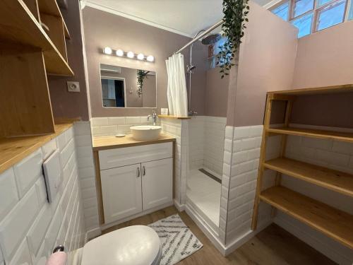 une salle de bain avec toilettes, lavabo et douche dans l'établissement Appartement Cosy à Carnon, à Mauguio