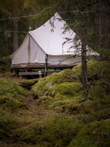 a tent sitting in the middle of a forest at Happie Camp - Hagfors in Hagfors