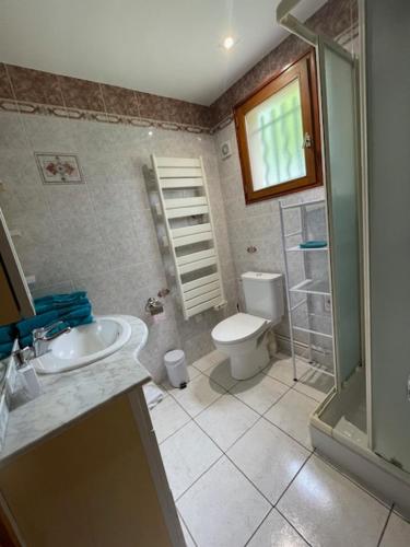 ein Badezimmer mit Toilette, Waschbecken und Dusche in der Unterkunft Maison T2 indépendante avec terrasse et parking in Buxerolles