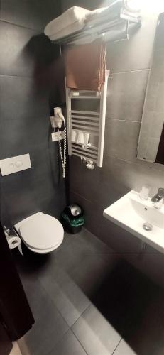 a bathroom with a toilet and a sink at Sun-House Pension&Restaurant -ParkingFree- in Prague
