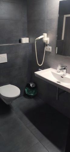 a bathroom with a sink and a toilet and a mirror at Sun-House Pension&Restaurant -ParkingFree- in Prague