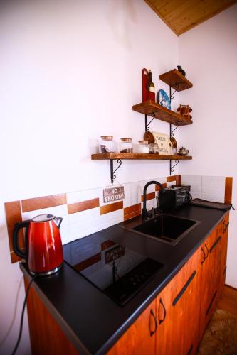 a kitchen with a black counter top and a sink at Villa Vejini cabin in Mamkoda