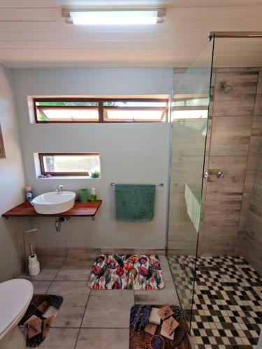 a bathroom with a shower and a sink at Sunbird Studio Apartment in Brackenfell