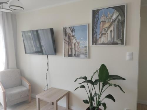a living room with a chair and a plant at Quiet in the City Wrocławska in Kraków