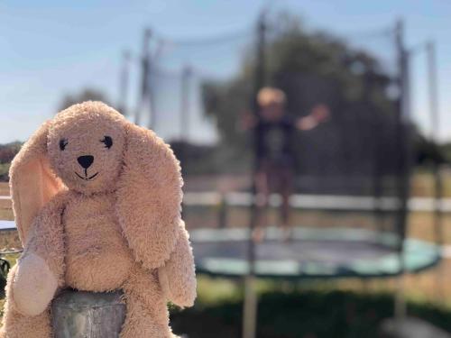 a teddy bear sitting on top of a pole at Gîte "Ibiza" in Chamblet