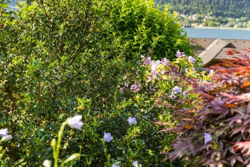 a bunch of flowers in a garden at Pension Magdalena in Altossiach