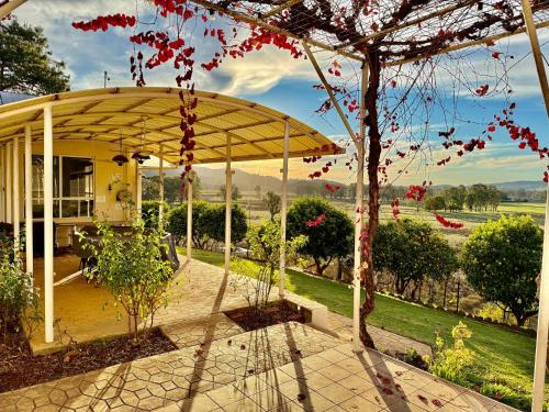 a house with a pavilion with a tree in front of it at Buffalo River Retreat - 5 Bedroom in Myrtleford