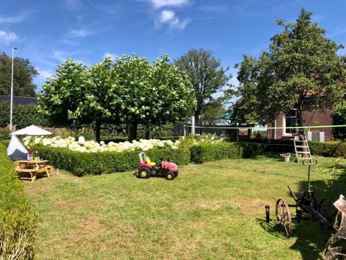 a small toy tractor in a yard with a hedge at Slapen bij de Brug in Zuidveld