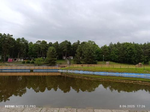 a body of water with trees in the background at Domki nad Wierną Rzeką in Bocheniec