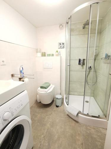 a white bathroom with a shower and a toilet at Ferienwohnung Sonnengarten in Meschede