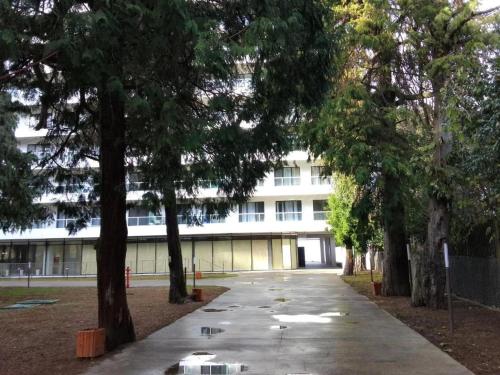 an empty sidewalk in front of a building with trees at Bamboo Beach Tsikhisdziri LATTE in Tsikhisdziri