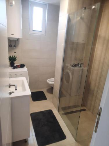 a bathroom with a shower and a sink and a toilet at Zmaj LUX in Mladenovac