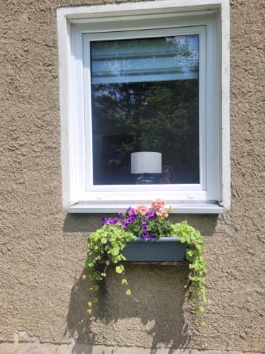 Gambar di galeri bagi Ferienwohnung Hasenwinkel di Langelsheim