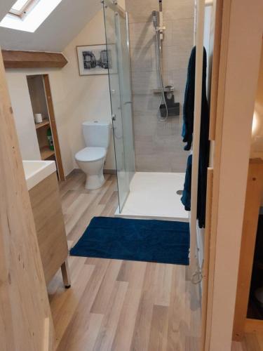 une salle de bain avec douche et toilettes dans l'établissement Badger Cottage, à Salagnac