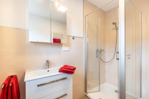 a bathroom with a sink and a shower at Ferienwohnung Landblick in Homberg