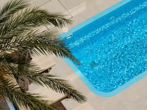a palm tree next to a swimming pool at Lotus Rise Hotel - Adults Only in Hersonissos