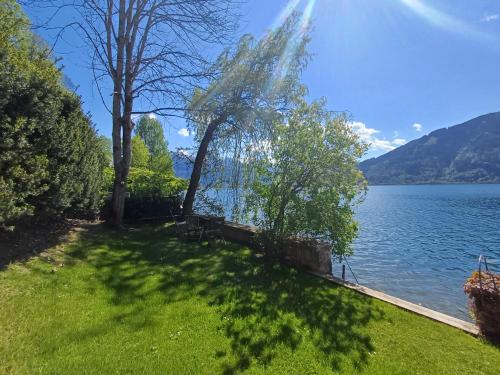 a shadow of a tree on the side of a lake at Waterfront Apartments Zell am See - Steinbock Lodges in Zell am See