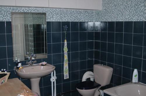 a blue tiled bathroom with a toilet and a sink at Le Jardin de Roses DOMINIQUE LOREAU in Saint-Bonnet-de-Mure