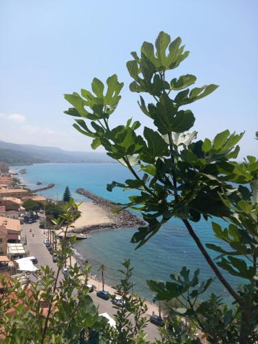 a view of a beach and the ocean at Palazzo Sardanelli in Pizzo