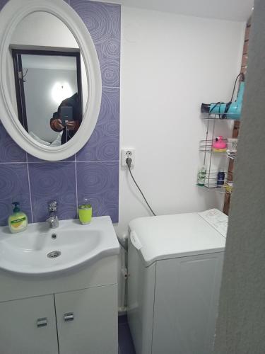 a bathroom with a sink and a mirror at Casa Ozon in Vulcan