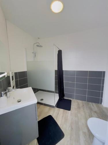 une salle de bain avec une douche, un lavabo et des toilettes dans l'établissement L'élégant de la Bascule - 4 Voyageurs - WIFI, au Mans