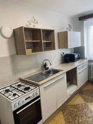 a small kitchen with a stove and a sink at Velký byt se dvěma ložnicemi, zahrada, Wifi zdarma in Hradec Králové
