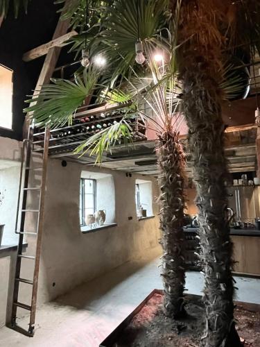 a room with a palm tree and a ladder at Månpalatset in Lärbro