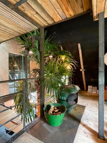 a room with two large plants in large pots at Månpalatset in Lärbro