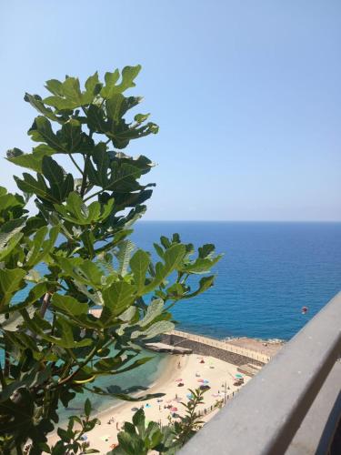 a view of the beach from a tree at Sapore di Sale - Casa Vacanza a Pizzo Calabro in Pizzo
