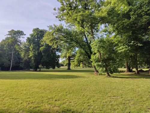 a large field with trees in a park at Les communs du Château du Sollier - Charme Calme Confort Climatisation à 5mn du péage in Bourges