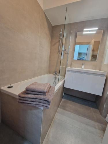 une salle de bain avec une baignoire, une douche et un lavabo dans l'établissement Studio Anthala Antibes proche centre avec accès piscine, à Antibes