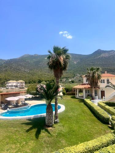 a villa with a palm tree and a swimming pool at Psatha Villa's in Psatha