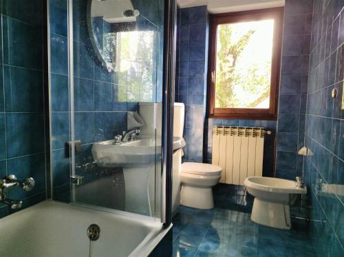 Un baño con inodoro, lavabo y ducha. en IseoLakeRental - La Casina, en Riva di Solto