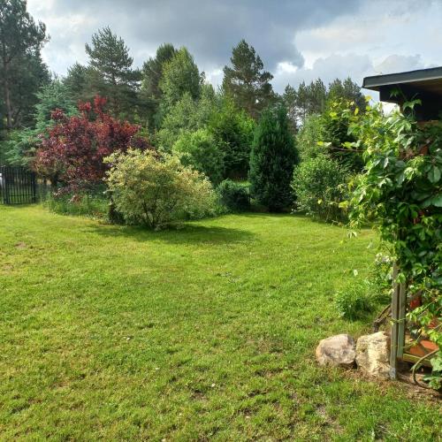 a yard with green grass and trees and bushes at Jeziorskie Zacisze 