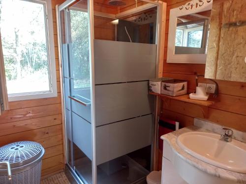 une salle de bain avec douche et lavabo dans l'établissement Gites de Plos chalet N1 Clim Piscine Spa Ombragé en Campagne, à Anduze