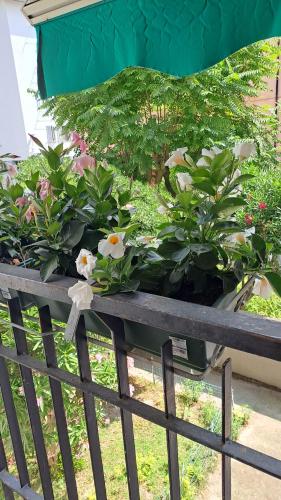 a bunch of flowers sitting on top of a bench at CasAnnamaria in Chioggia
