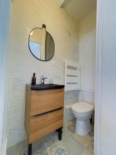 une salle de bain avec un lavabo, des toilettes et un miroir dans l'établissement La Halte Urbaine - 2 guests - Wifi, au Mans