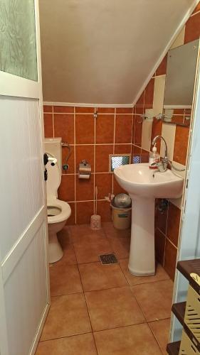 a bathroom with a toilet and a sink at Casa Sara in Eforie Nord