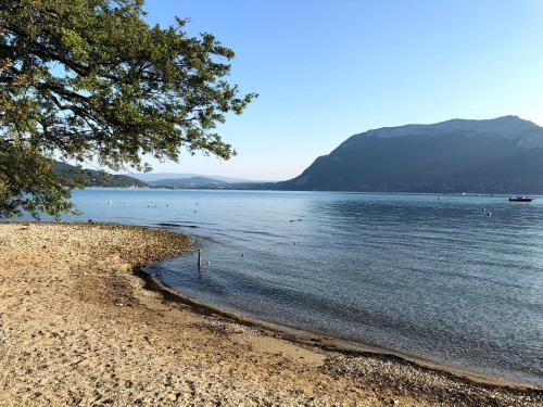 une plage avec une bande d'oiseaux dans l'eau dans l'établissement Maison détente, à Cuincy