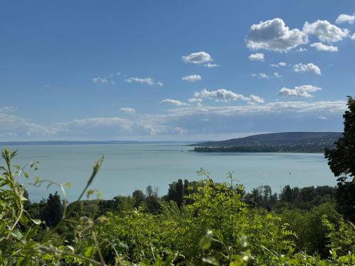 a view of a large body of water at Willow Nest in Balatonfůzfő