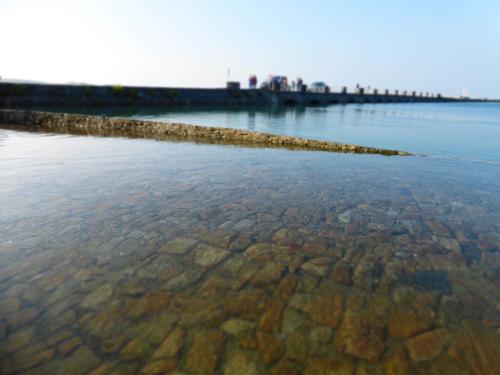 Photo de la galerie de l'établissement la glycine- entre terrre et mer - grand jardin, à Port-Bail-sur-Mer