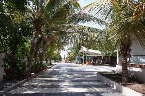 Fotografie z fotogalerie ubytování Coconut Lagoon Agro Resort v destinaci Parbhani