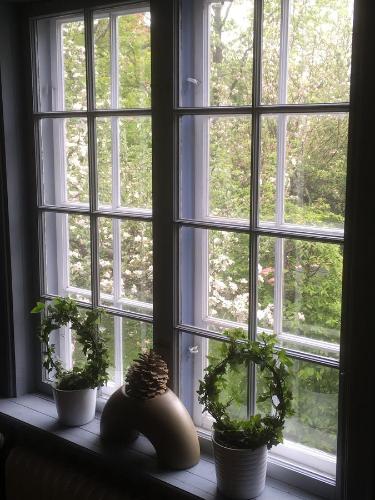 a window with three potted plants on a window sill at Stockholm B&B Cottage in Nacka