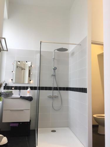 une salle de bain avec douche et lavabo dans l'établissement Grand studio tout confort dans l'hyper centre, à Valenciennes