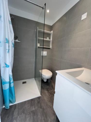 une salle de bain avec une douche, des toilettes et un lavabo dans l'établissement MORIANI PLAGE - 3 pièces climatisé 4 à 6 couchages D1, à Moriani-Plage