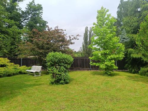 a park bench sitting in the middle of a yard at Chata lázně Evženie Klášterec nad Ohří in Klášterec nad Ohří