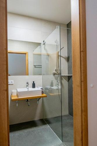 a bathroom with a sink and a glass shower at Schmitt Bräu - Hotel und Brauereigasthof in Scheßlitz
