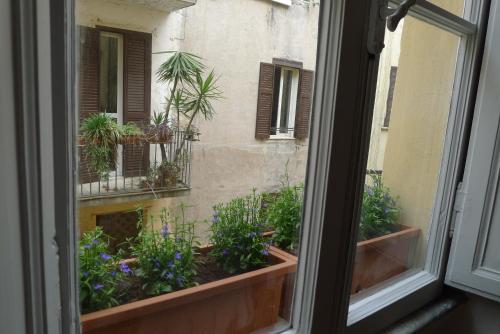 Domus Picta Roomy Apartment