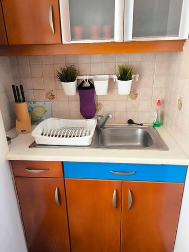 a kitchen counter with a sink and some plants at Paradise found in Rafina